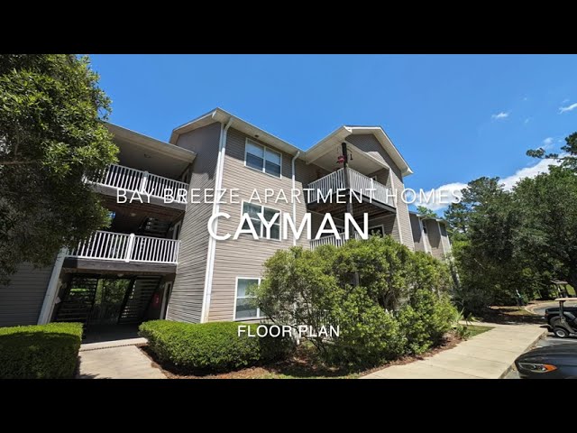 Video 1