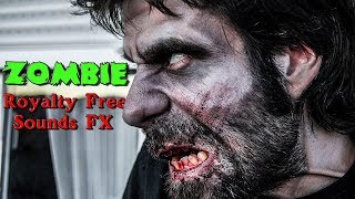 Classic Zombie Royalty Free Sounds FX
