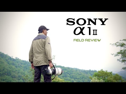 Sony A1II Field Review | Three Favourite Features | Munish Palaniappan