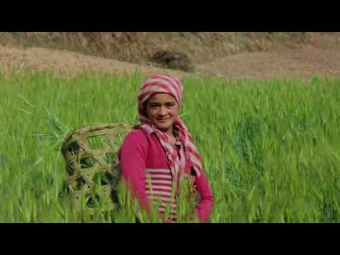 SIN FORMACIÓN NO HAY FUTURO