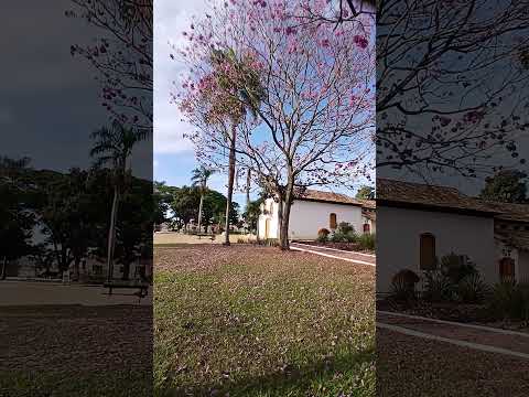 itaberai Goiás #roçalife #nature #roça #interiordegoias #hiking #goiás #natureza #travel