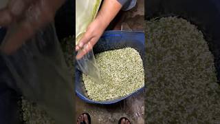 Download lagu Make your own bean sprouts from 1.5 kg of green beans, make more than 6 kg of slim bean sprouts mp3 Download lagu Make your own bean sprouts from 1.5 kg of green beans, make more than 6 kg of slim bean sprouts mp3