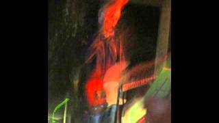 The Zen Circus "Postumia" acoustic cover