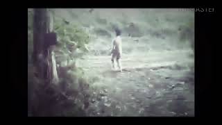 完全版PV