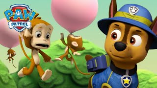 Jungle Pups Rescue the bubble blowing Monkeys! | PAW Patrol | Cartoons for Kids Compilation