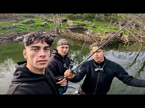 Toter, Versunkener Wald: Wir fangen den MONSTER Barsch 😮🔥