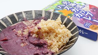 紫色のカレー食べてみた【北海道 - ハスカップカレー】