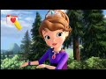 Sofia The First The Mystic Isles A Hero For The Hoodwinks Disney Jr
