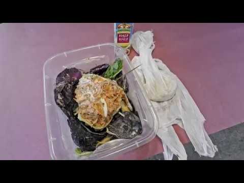 Baiting of baby worms, plans for depopulating bins & feeding - vermicomposting farm