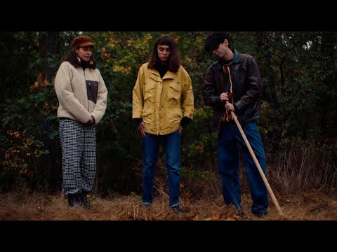 Alone at Parties & Desi Latinova - Petals