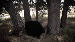 YACHT - Psychic City (Voodoo City)