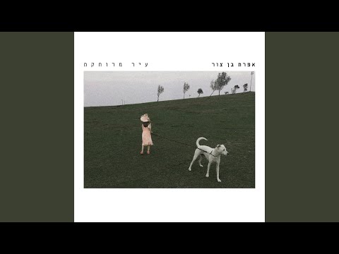 All I Have to Do Is Dream