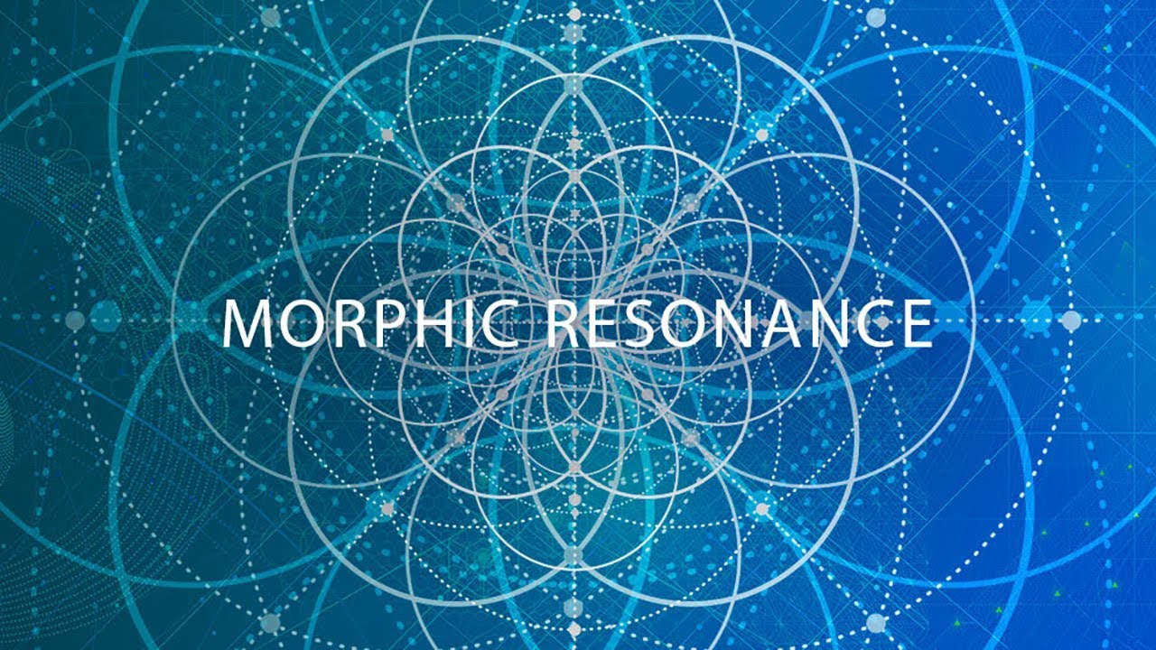 Morphic Resonance: An Introduction - YouTube