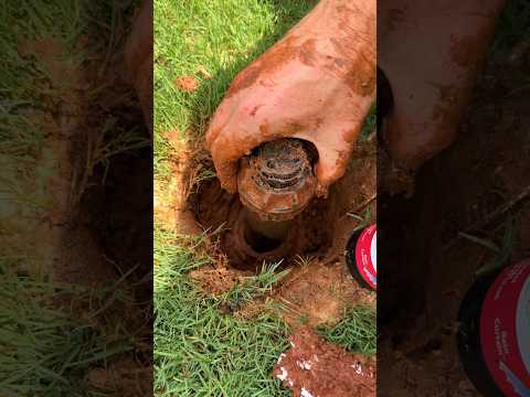 Replace Sprinkler Head in 5 Mins - Easy DIY Fix