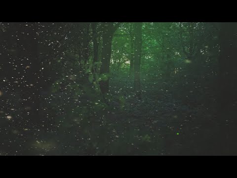 𝓯𝓲𝓻𝓮𝓯𝓵𝓲𝓮𝓼 ambiance [2 hours]