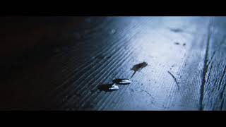 Little do u know Alex and sierra cover annie Leblanc and hayden summerall