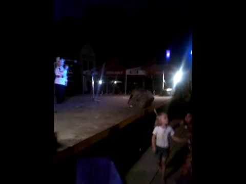 Zilele sportului la Arpasel comuna Batar