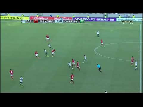 Flamengo 4x2 Palmeiras | Brasileiro 04/05/2014 | Melhores momentos HD