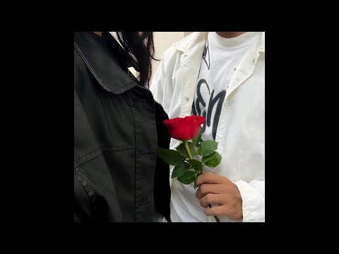 Tặng em đoá hoa hồng - Dacol ft. Wang An Nan (Lyrics Video)