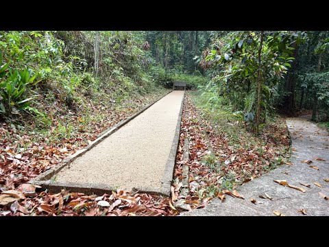 Virtual Retreat - 46|04|Sabbasawa Sutta - 02|Most Ven Dhammajiva Maha Thero|2021-08-24