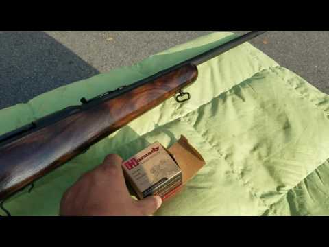 New Bang Bang project! 22 hornet and CZ52