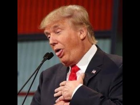 Top 5 Twitter Trends Today