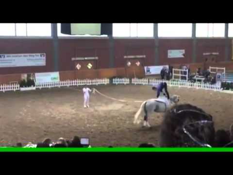 Norddeutsche Meisterschaft 2015 Voltigieren