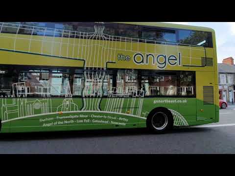 Go north east 6316 (NK67 GMO)