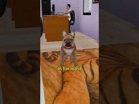 You're stressing your dog without realizing
