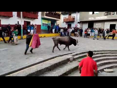 así se vive la fiesta en conchucos 🤣