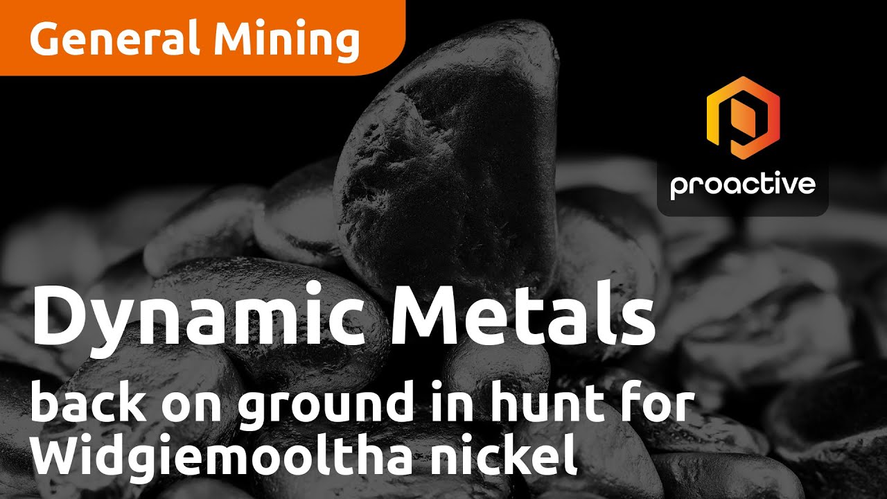 Dynamic Metals back on ground in hunt for Widgiemooltha nickel