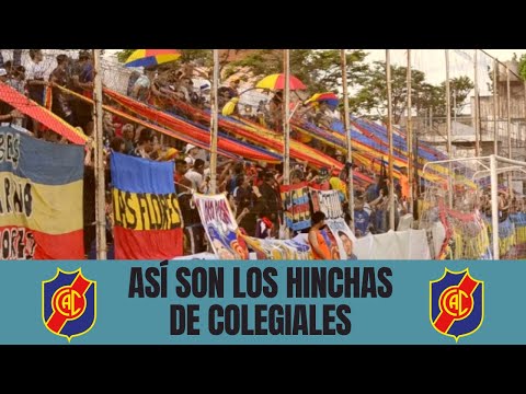 "Colegiales - Sacachispas + Previa con los HINCHAS del TRICOLOR + Erik Lamela #Colegiales #Ascenso" Barra: La Banda del Tricolor &bull; Club: Colegiales
