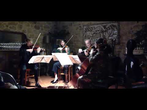 Atlantic Quartet House Concert, part 1