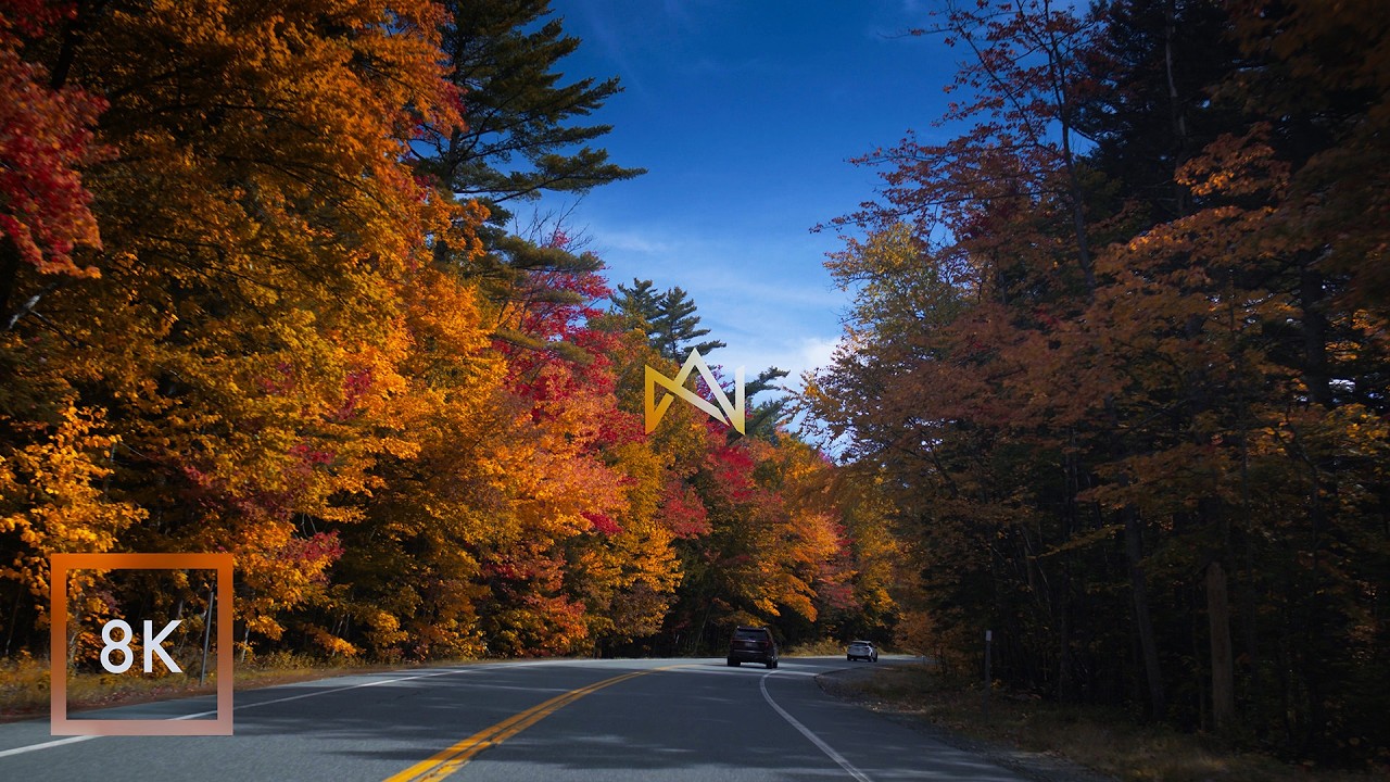 New England Fall Foliage / Scenic Autumn Drive Through White Mountains / 8K