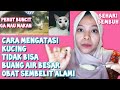 CARA MENGATASI KUCING TIDAK BISA BUANG AIR BESAR OBAT SEMBELIT KUCING