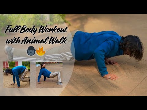 Full Body Workout with Animal Walk 🦍