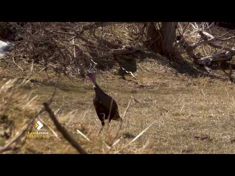 LandLeader 301 15secPromo 20180703