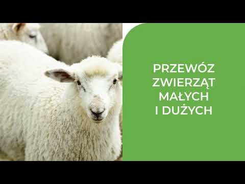Figa Odbiór surowców pochodzenia zwierzęcego Andrzej Figa - video
