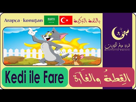 تعلم اللغة التركية بسهولة مع حكاية (القطة والفأرة Kedi ile Fare)
