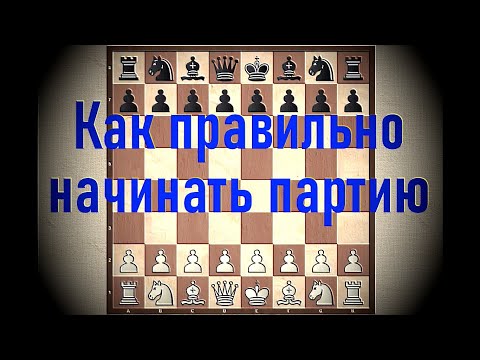 Шахматы. Урок 10 для начинающих. Шахматная партия. Стадии партии. Правила поведения. Дебют