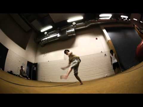 Aerialswitch - August 2011 Sampler "Nuts"