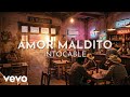 Intocable - Amor Maldito (Audio)