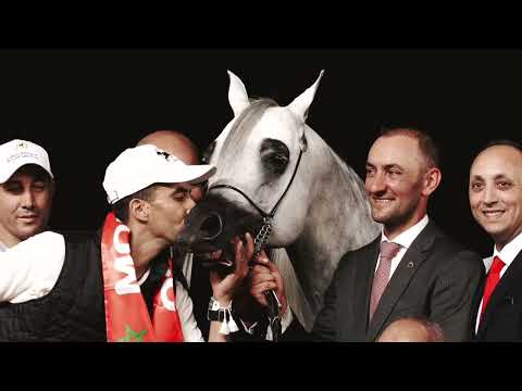 EKS FARAJJ - Class Winner Senior Stallions 6A, WAHC 2023