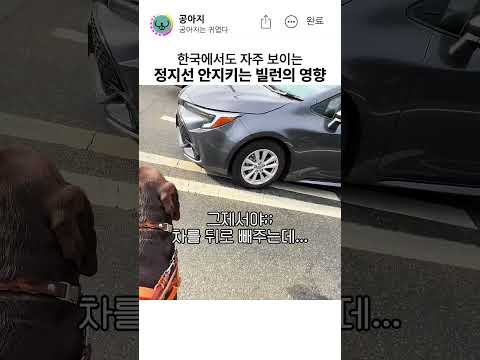 정지선 지켜야 하는 이유