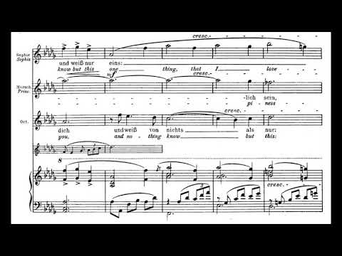 Hab mir's gelobt (Der Rosenkavalier - R. Strauss) Score Animation