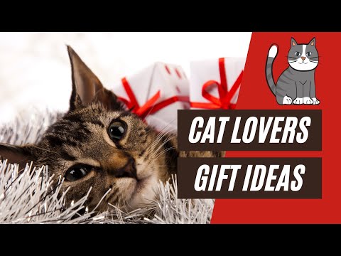 The Best Gift Ideas For Cat Lovers