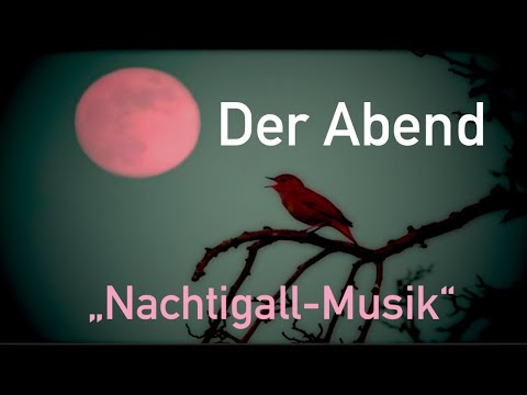 Abendmusik mit Nachtigall - den Tag in Ruhe beenden