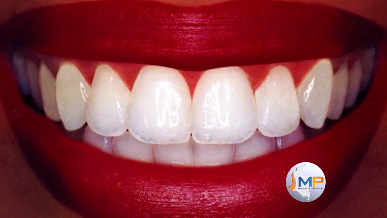 Lucía Inés Torrado Cote-28