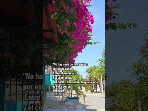 calles de candelaria Atlántico