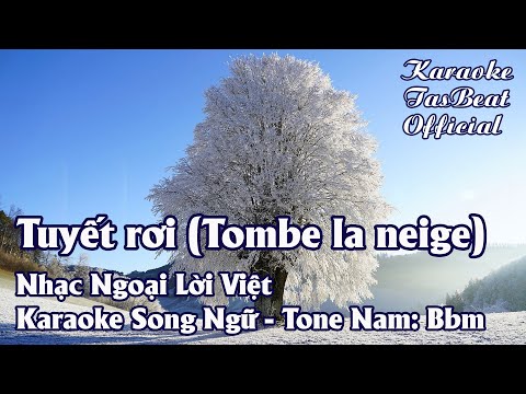 Karaoke Song Ngữ Tuyết Rơi Tone Nam | TAS BEAT